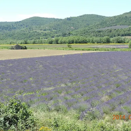 Les Cigales D'estoublon Apartamento Estoublon