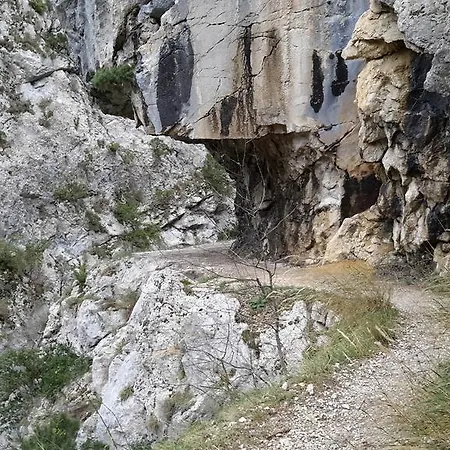 Les Cigales D'estoublon Appartamento Estoublon