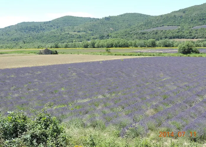 Les Cigales D'estoublon Апартаменты Estoublon